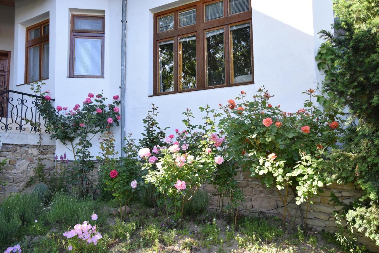 Guest House Astra ارباناسي المظهر الخارجي الصورة